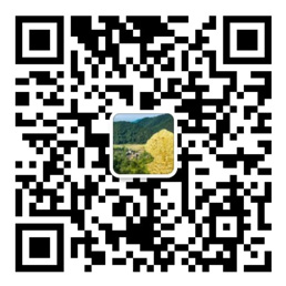 全民彩票官网